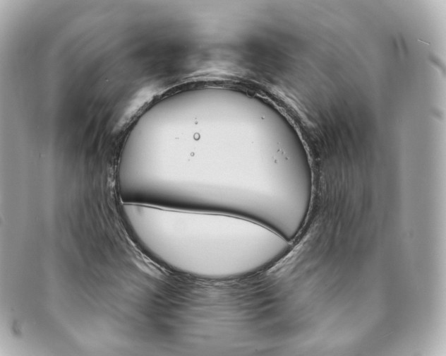 X0000094211355200710260925