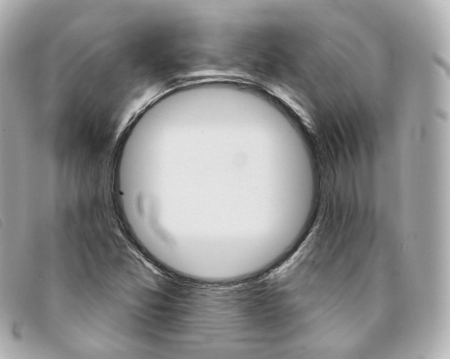 X0000094211357200710260925