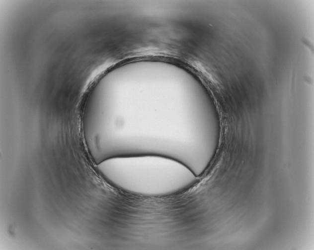 X0000094211358200710260924