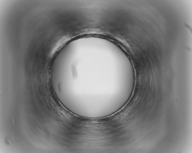 X0000094211359200710260924