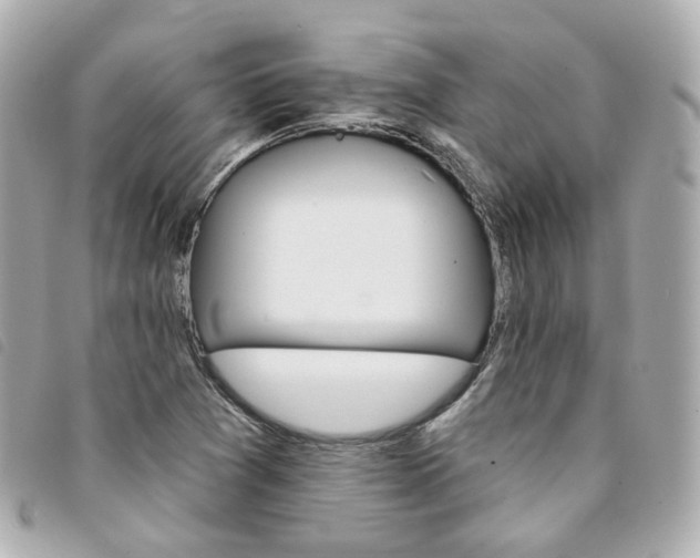 X0000094211361200710260924