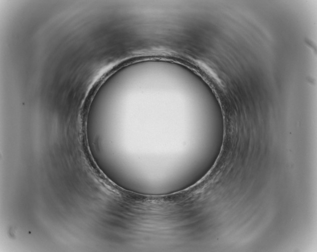 X0000094211364200710260924