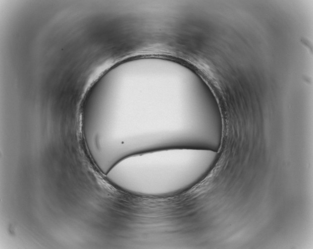 X0000094211366200710260924