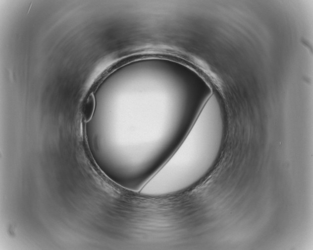 X0000094211368200710260924