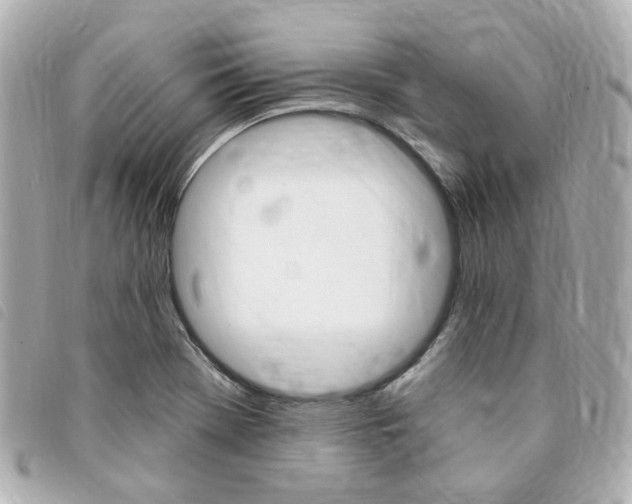 X0000094211369200710260924
