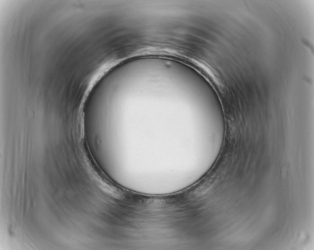 X0000094211371200710260924