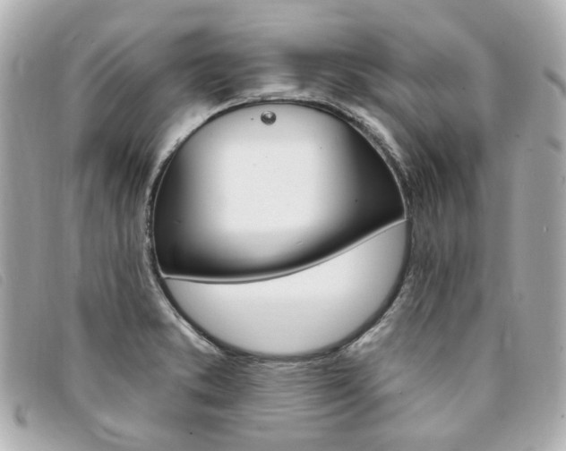 X0000094211373200710260924