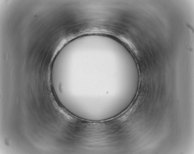 X0000094211374200710260924