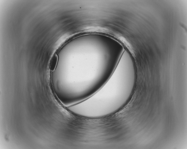 X0000094211376200710260924
