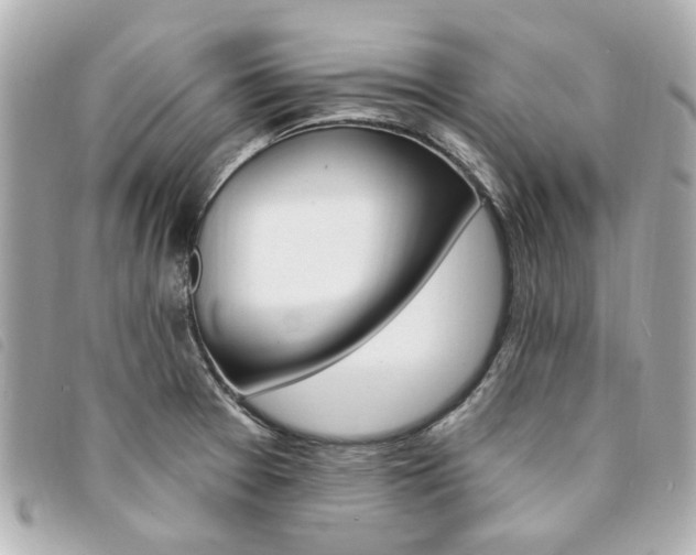 X0000094211377200710260924