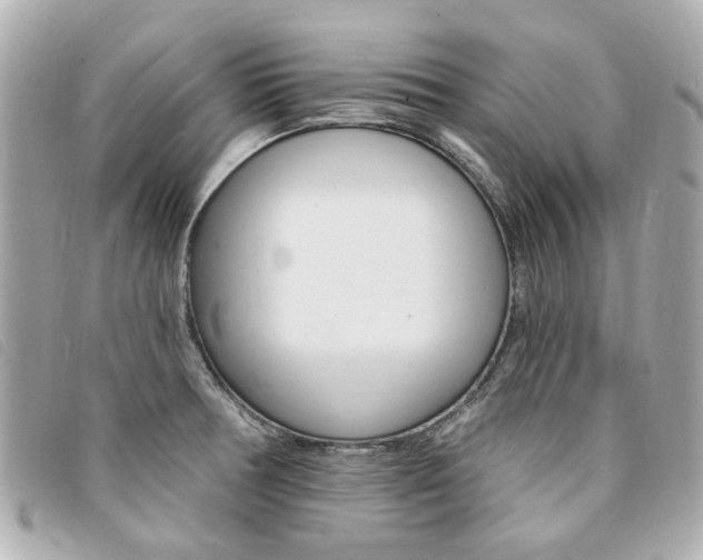 X0000094211378200710260924