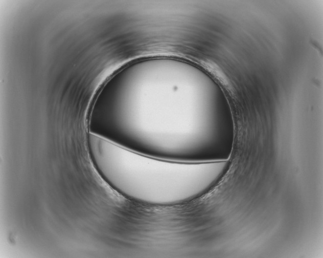 X0000094211380200710260924