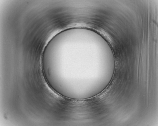 X0000094211382200710260924