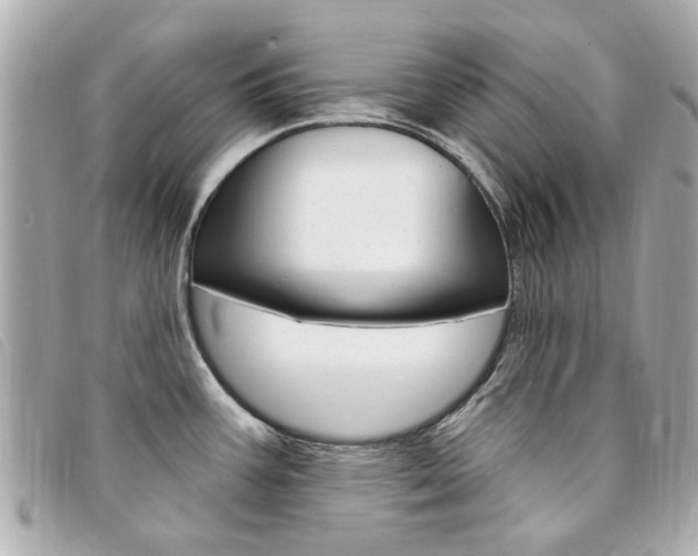 X0000094211387200710260924