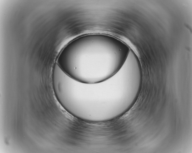 X0000094211388200710260924