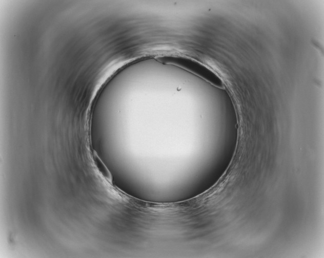 X0000094211392200710260924