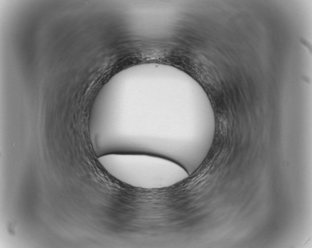 X0000094211393200710260923
