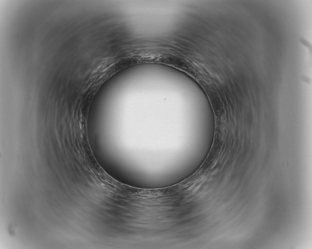 X0000094211394200710260923