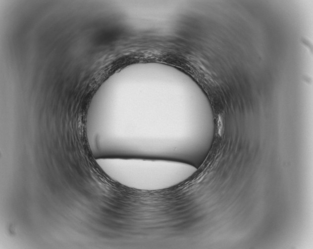 X0000094211395200710260923