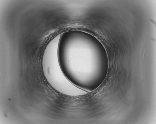 X0000094211398200710260923