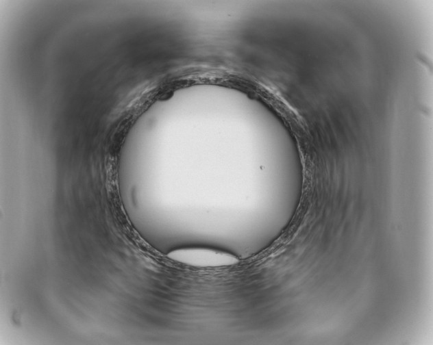 X0000094211399200710260923