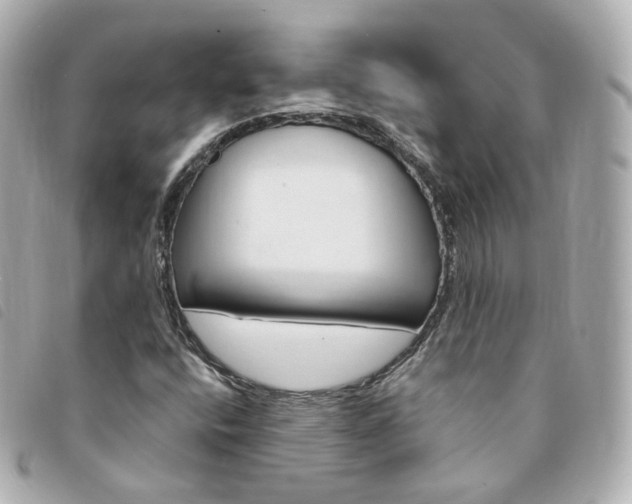 X0000094211400200710260923