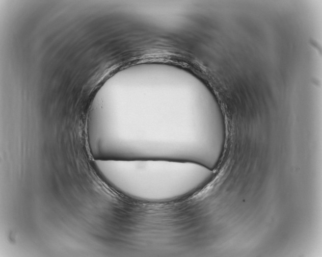 X0000094211401200710260923
