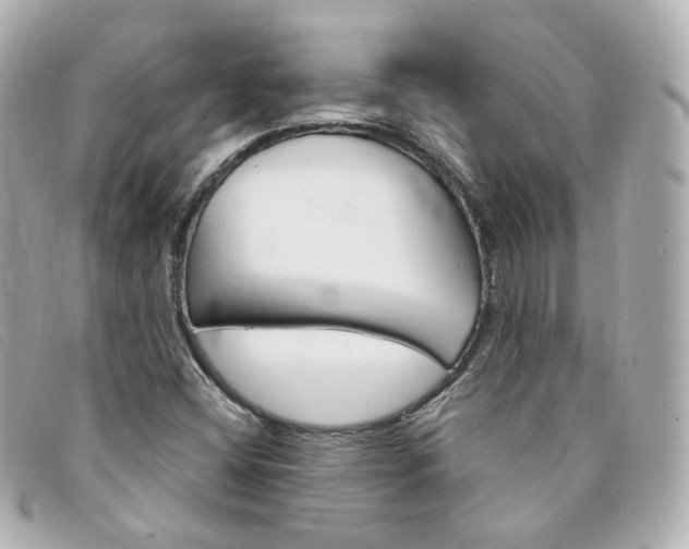 X0000094211404200710260923