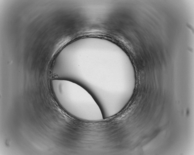 X0000094211405200710260923