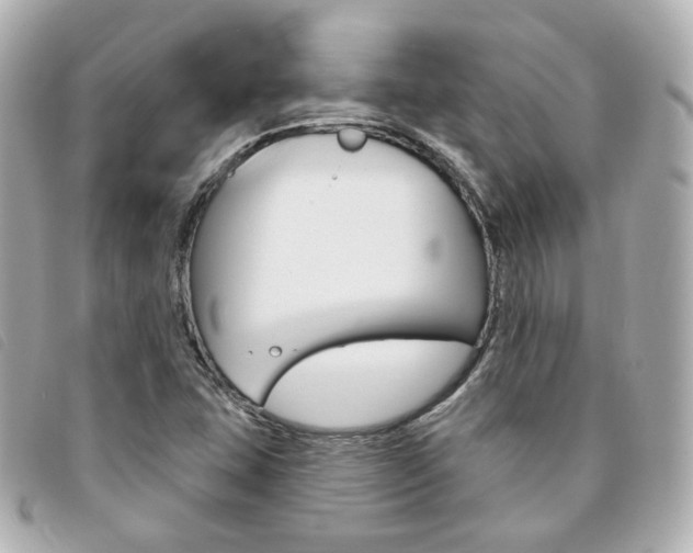 X0000094211407200710260924