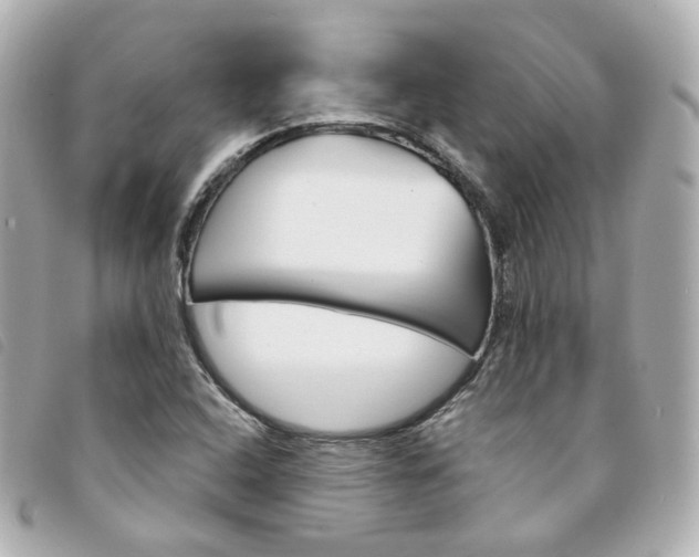 X0000094211408200710260924