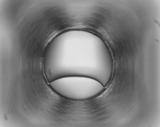 X0000094211409200710260924