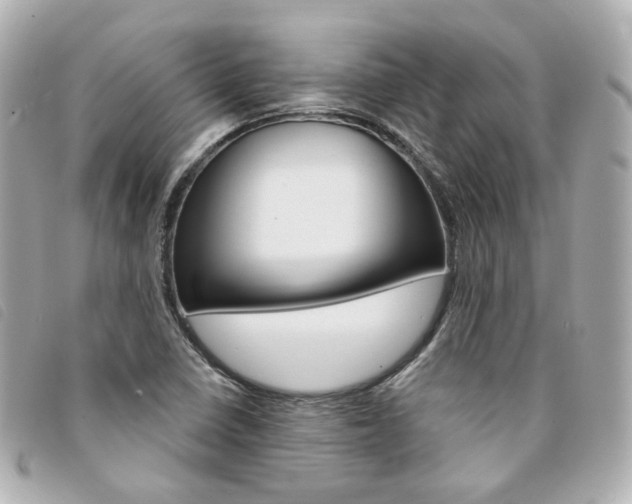 X0000094211410200710260924