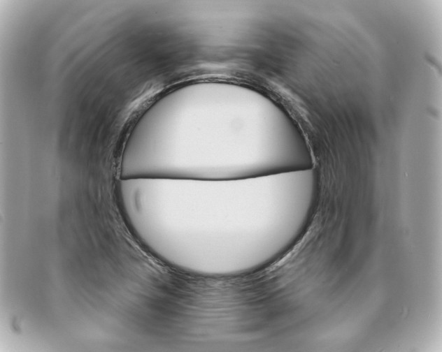 X0000094211411200710260924