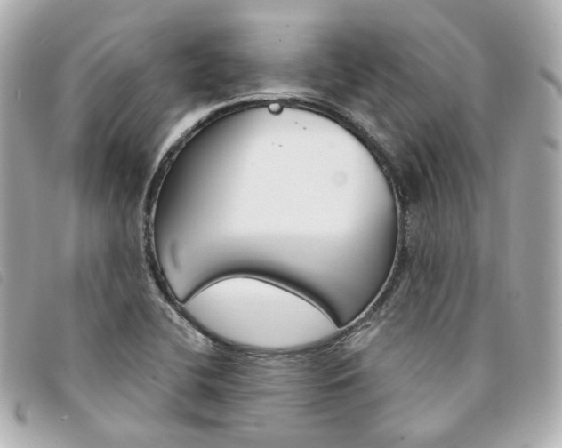 X0000094211412200710260924