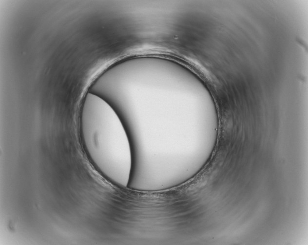 X0000094211413200710260924