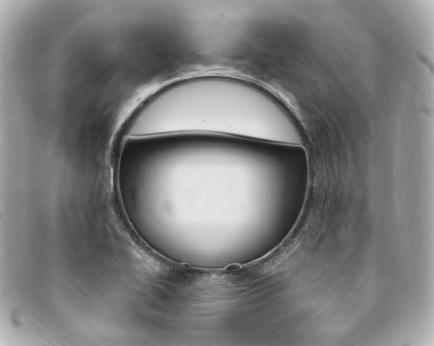 X0000094211414200710260924