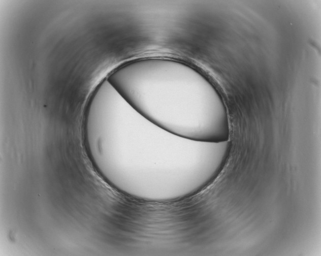 X0000094211415200710260924