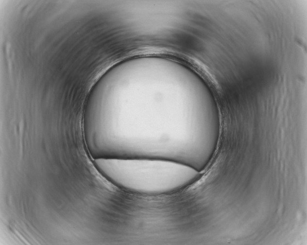 X0000094211417200710260924