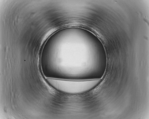 X0000094211418200710260924