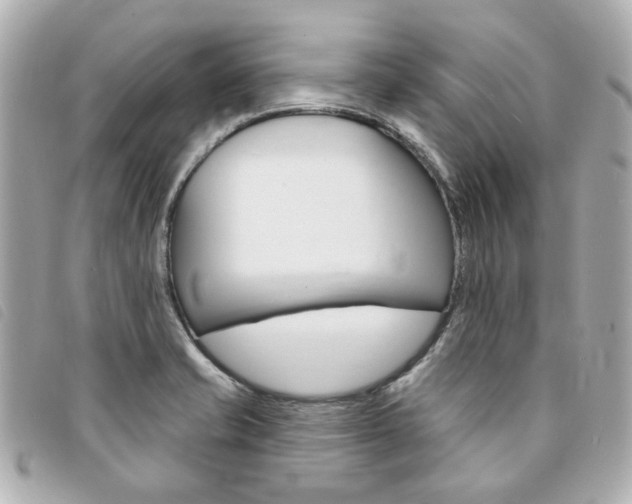 X0000094211421200710260924