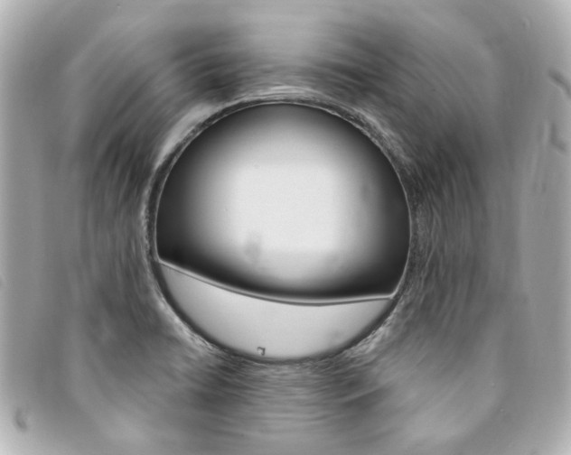 X0000094211422200710260924