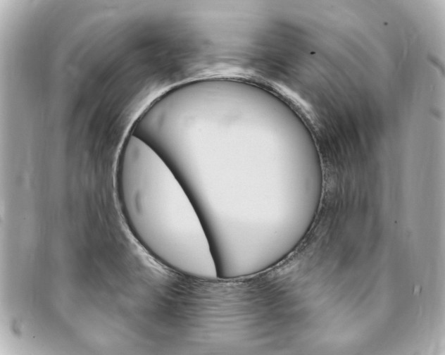 X0000094211423200710260924