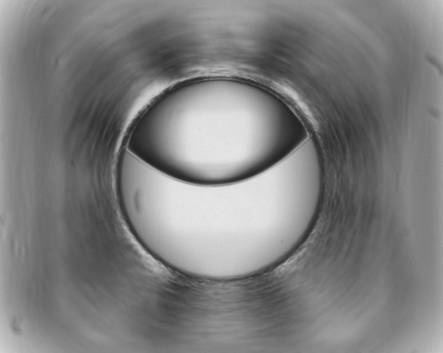 X0000094211424200710260924