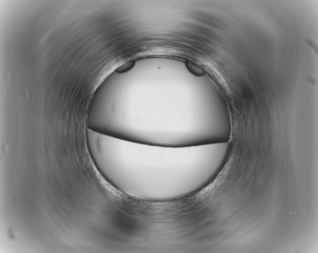 X0000094211425200710260924