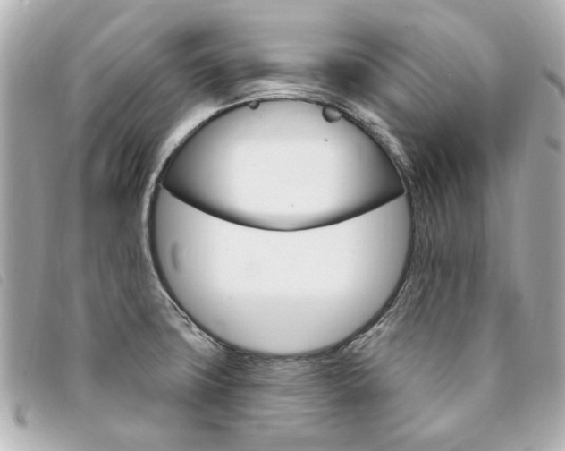 X0000094211427200710260924