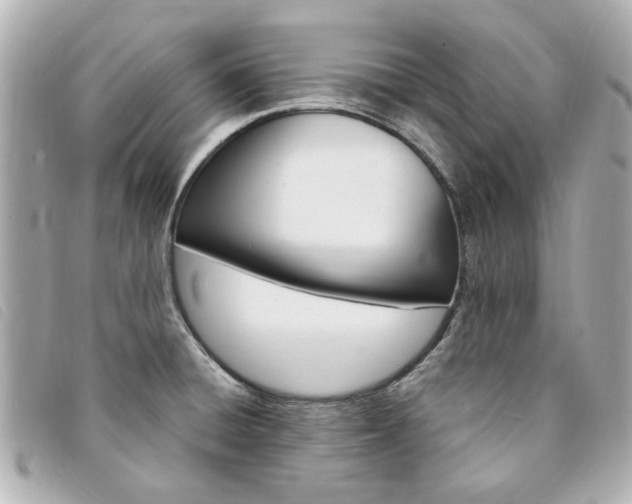 X0000094211428200710260924