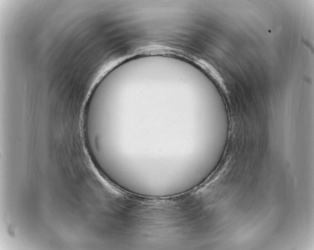 X0000094211429200710260924