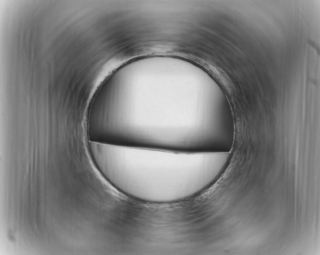 X0000094211432200710260924