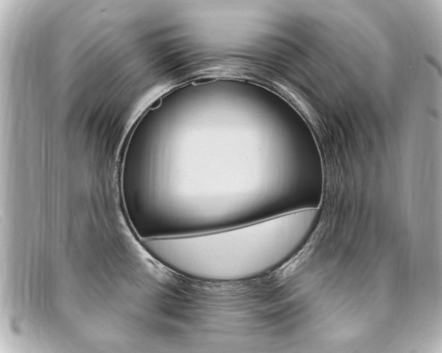 X0000094211434200710260924